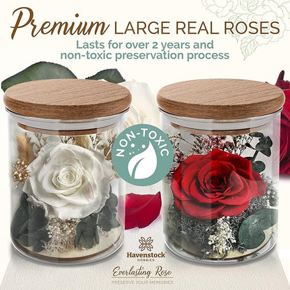 Red Rose in a Glass Dome - Premium Real Roses that Last a Year or More - Mother's Day Unique Gifts For Her Preserved Roses - Forever Flower Decor Preserved Flowers - Eternal Rose Display