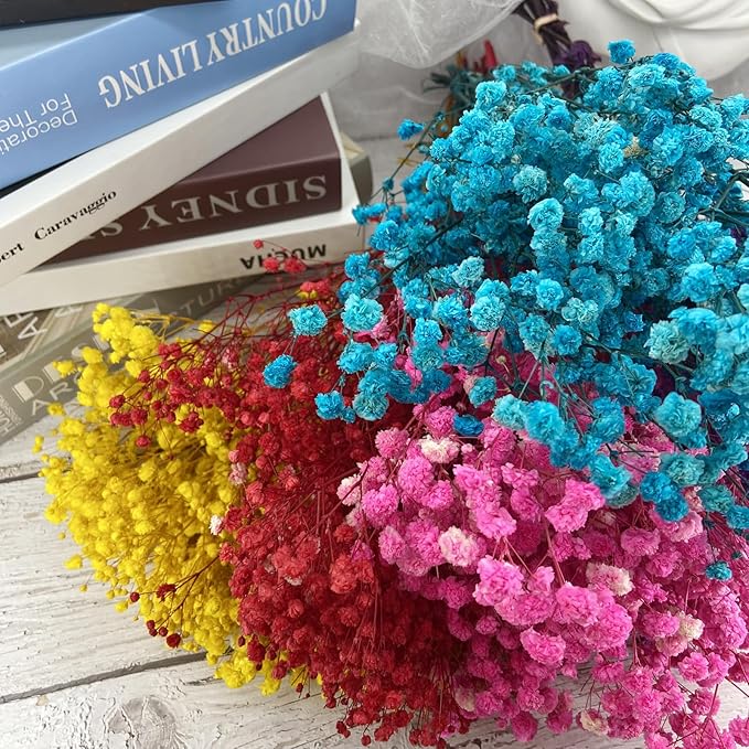 Birtlynn Preserved Baby's Breath, 100% Natrual Gypsophila Long Lasting Flowers for Vase Arrangements Home Decoration Photo Props Parties and Weddings, DIY Décor-Pink