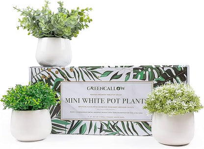 Artificial Plants for Home Decor Indoor. 4 Mini Plants, Rosemary Faux Plant Decor, Eucalyptus Plant, Grass Plants. Small Fake Shelf or Desk Greenery Décor (Ceramic-3)