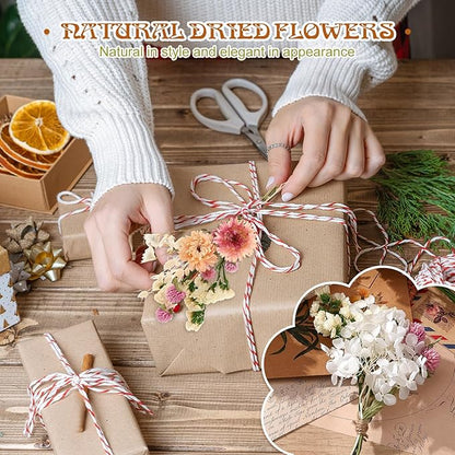 10 Kinds of Dried Flowers for Crafts Green Series Natural Dried Flowers Dry Hydrangea Daisy Babys Breath with Stems Boho Wedding Flower Bouquets with Hemp DIY Floral Arrangement Rope for Home Decor