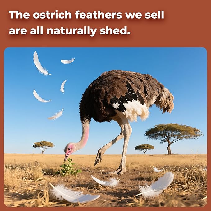 Piokio 20pcs Natural Brown Ostrich Feathers 10-12 inch (25-30cm) Bulk Feathers for Wedding Party Centerpieces, Home Decoration and DIY Clothing, Gatsby Decorations