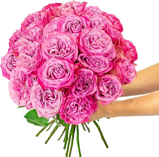 BloomsyBox - Lavender Roses - 24 Long Stems, Long Lasting, Hand-Tied in Eco-friendly, Vase Not Included, Fresh Flowers for Delivery – Gift for Birthday, Anniversary, Congratulations, Wedding