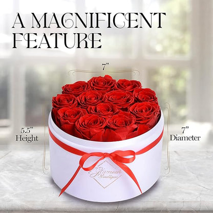 GLAMOUR BOUTIQUE Flowers Forever in a Box 12 Preserved Roses in Velvet Box, Birthday, for Women, Eternal Rose for Wife, Mom Flower - Red