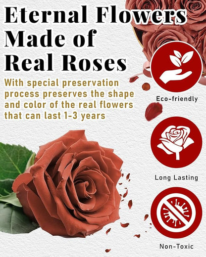 Changshunqi Forever Flowers, Preserved Real Rose in Box Preserved Flowers for Delivery, Eternal Rose Flower Last 2-3 Years, Anniversary Roses Forever Birthday Gifts for Women Mothers, Wife, Her, Mom