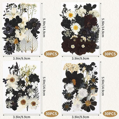Augshy Black Dried Pressed Flowers, 120 Pcs Halloween Dried Flowers for Resin Molds Real Pressed Flowers for Crafts DIY Jewelry Molds, Scrapbooking, Candle, Soap Making