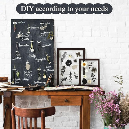 Nuanchu 167 Pcs Real Dried Pressed Flowers Natural Dried Flowers Colorful Daisy Mixed Wildflowers Leave for DIY Candle Resin Nails Jewelry Pendant Crafts Floral Art(Black White,Vintage Style)