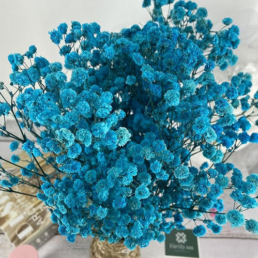 Preserved Baby's Breath, 100% Natrual Gypsophila Long Lasting Flowers for Vase Arrangements Home Decoration Photo Props Parties and Weddings, DIY Décor-Blue