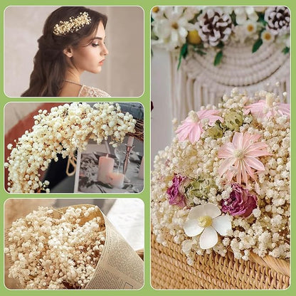 5000+ Dried Babys Breath Flowers Bulk - 17" Ivory White Dried Flower Bouquet, Real Natural Gypsophila Branches for Vase Filler, Wedding, Table Centerpiece, Home Decor, DIY Wreath Floral, Crafts