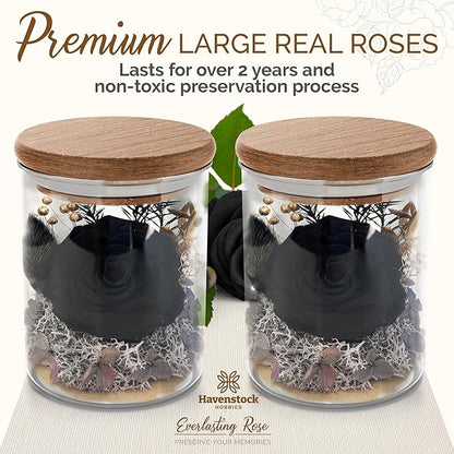 Black Rose Premium Eternal Roses - Real Preserved Rose in Glass Dome - Gothic Style Decor for Funeral Occasions