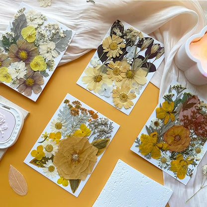 90Pcs Dried Pressed Flowers for Resin Molds, Vintage White Bulk Real Natural Dry Floral for DIY Art Crafts, Epoxy Jewelry, Candle, Soap Making, Nails Decor, Phone Case