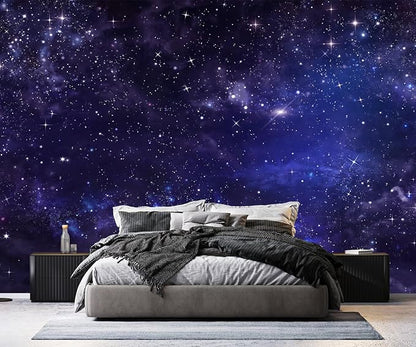 PYFFYP- Ceiling Wallpaper Purple Star Galaxy murals for Bedroom(Not Peel and Stick)