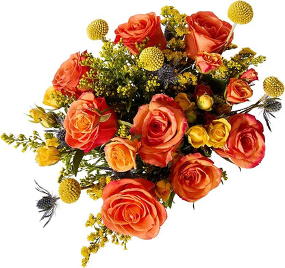 UrbanStems – The Firecracker Bouquet (No Vase) – Fresh Flowers for Delivery – Gift for Birthday, Thank You, Congratulations, Anniversary