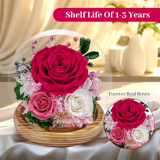 Preserved Roses Forever Flowers in Glass - Birthday Gifts for Women Mom, Real Flowers for Delivery Prime | Rose Gift for Grandma Wife Sister Friend (Mix Fuchsia)