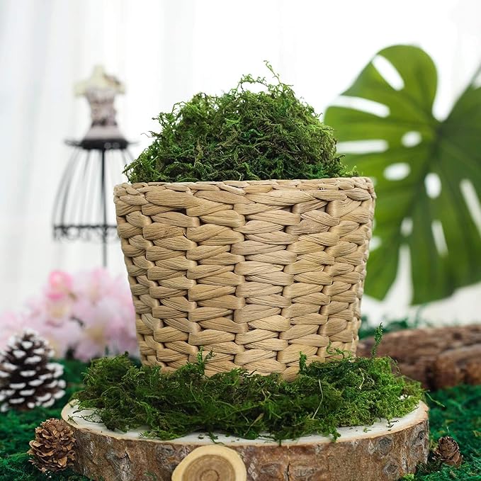 BYHER Artificial Moss Fake Green Grass for Centerpieces Home Kitchen Garden Decor (8OZ, Fresh)