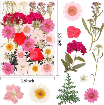 NESCCI 35 Pcs Dried Pressed Flowers for Resin,Real Nature Dried Flowers for Crafts Bulk Dry Flowers Leaves Kit Used for Resin Molds Scrapbooking DIY Art Crafts Candle Soap Making Nails Décor