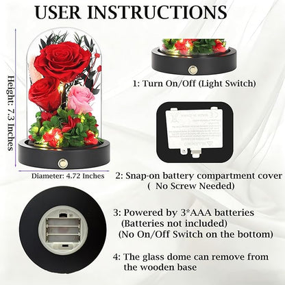 Birthday Gifts For Women Mom, Preserved Flowers in Glass Dome, Forever Flowers for Delivery Prime,Real Eternal Roses Mothers Day Valentines Day Christmas Anniversary for Grandma Wife Her Red