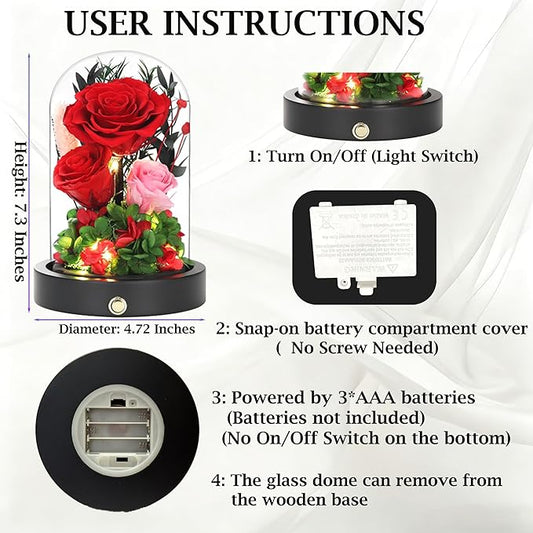 Birthday Gifts For Women Mom, Preserved Flowers in Glass Dome, Forever Flowers for Delivery Prime,Real Eternal Roses Mothers Day Valentines Day Christmas Anniversary for Grandma Wife Her Red