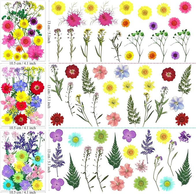 192Pcs Dried Pressed Flowers for Resin, Assorted Real Natural Bulk Dry Floral Leaves for DIY Art Crafts, Epoxy Molds, Jewelry, Soap, Candle Making, Nails Decors