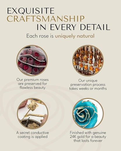 Forever Rose Hand-Dipped in 24K Gold, Aquamarine-Inspired March Birthstone with Sparkles, Real Rose in Leather Case with LED Light – Gift for Birthday or Any Occasion