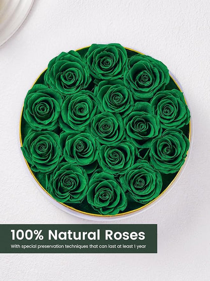 Preserved Roses Forever Flowers Real Roses in a Box Mother's Day Birthday Flowers for Her Mom Women Wife Valentine's Day, 16 Green Roses