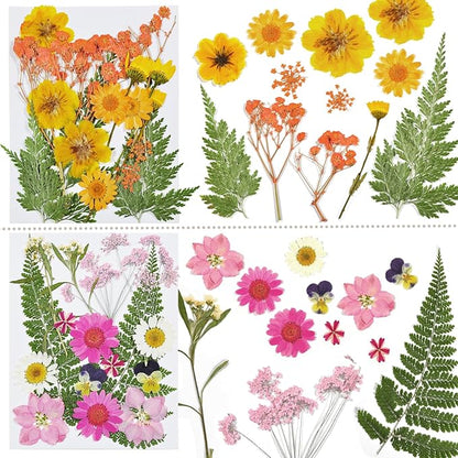 CONVELIFE Dried Flowers for Resin, 68pcs Bulk Real Natural Pressed Flowers for DIY Art Crafts, Epoxy Jewelry, Candle, Soap Making, Nails Decor, Phone Case