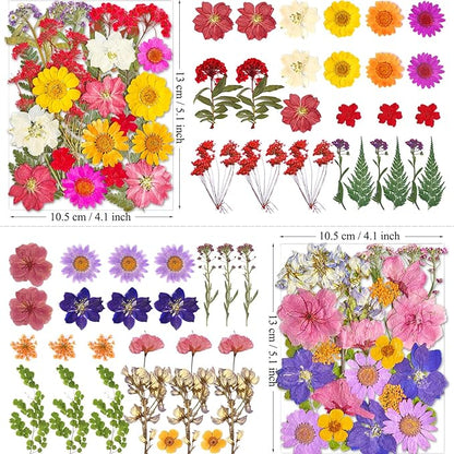 101Pcs Pressed Dried Flowers for Resin Molds, Real Natural Bulk Dry Floral Leave for DIY Art Crafts, Epoxy Jewelry, Candle, Soap Making, Nails Decors