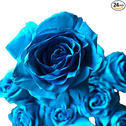 Fresh Cut Tinted Turquoise Roses from Flower Explosion - 24 Stems