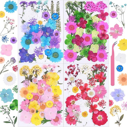 141Pcs Colorful Dried Pressed Flowers for Crafts,Xinxinran Dry Flowers Kit for Resin Molds,Epoxy Resin Accessories,Bookmark,Nails, Jewelry Molds,Candle Making Supplies,Soap,Frame(Mix Color)