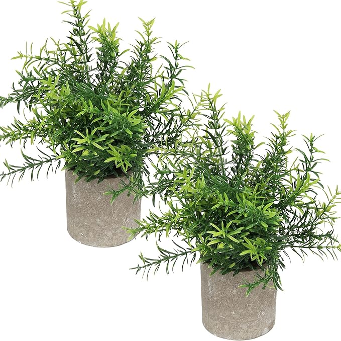 Flojery Mini Potted Plants Artificial Eucalyptus Boxwood Rosemary Greenery in Pots Faux Potted Herbs Small House Plants 8.3"-9" Tall for Indoor Greenery Tabletop Décor Centerpiece (Green)