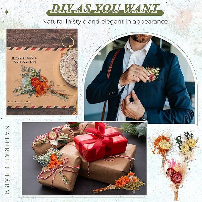 Layhit 12 Pack Boho Dried Flower Bouquet Mini Wedding Handmade Dry Flowers Decor for Vase Crafts DIY Photo Boutonniere for Men Floral Plant for Bridesmaid Gift Birthday Decor(African Daisy)
