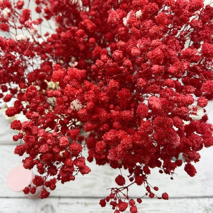 Birtlynn Preserved Baby's Breath, 100% Natrual Gypsophila Long Lasting Flowers for Vase Arrangements Home Decoration Photo Props Parties and Weddings, DIY Décor-Red