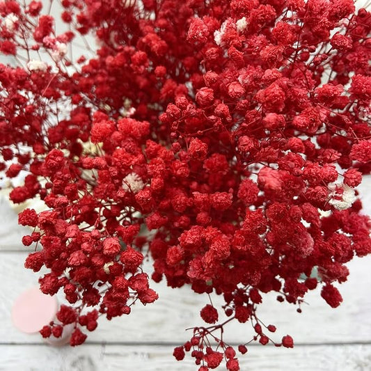 Birtlynn Preserved Baby's Breath, 100% Natrual Gypsophila Long Lasting Flowers for Vase Arrangements Home Decoration Photo Props Parties and Weddings, DIY Décor-Red