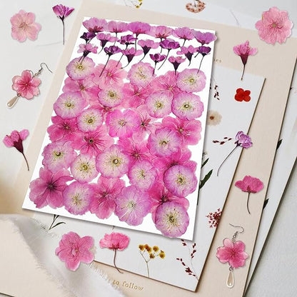 51 Pcs Real Natural Cherry Blossom Dried Pressed Flowers - Delicate Pink Florals for Resin Jewelry, Candle Making, Frame Decor & DIY Craft Projects