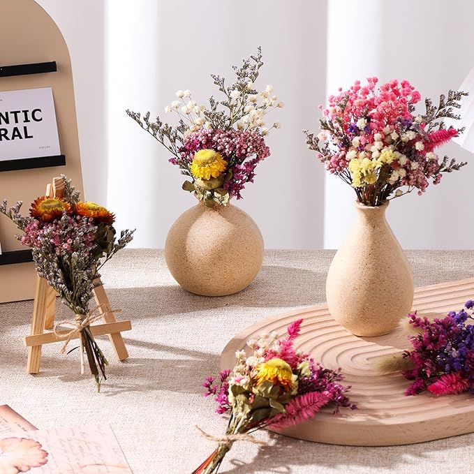 11 Kinds of Dried Flowers for Crafts Bulk DIY Natural Multi-color Dried Pampas Grass Lavender Forget Me Not Babys Breath with Stems Dry Flower Bouquets with Hemp Rope for Home Decor Floral Arrangement