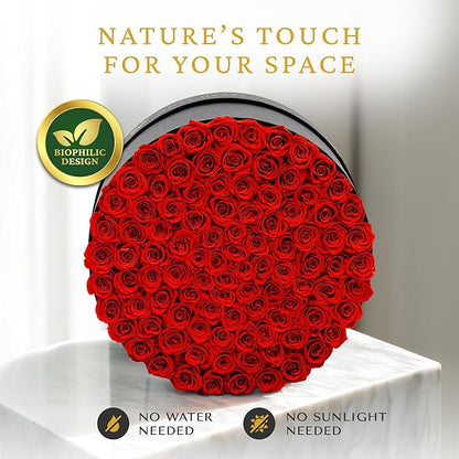 100 Preserved Roses, Forever Flowers for Delivery in Designer Round-Shaped Box, Petite Long-Lasting Buds for Women, Eternal Rose Bouquet for Mothers Day, Girlfriend's Birthday