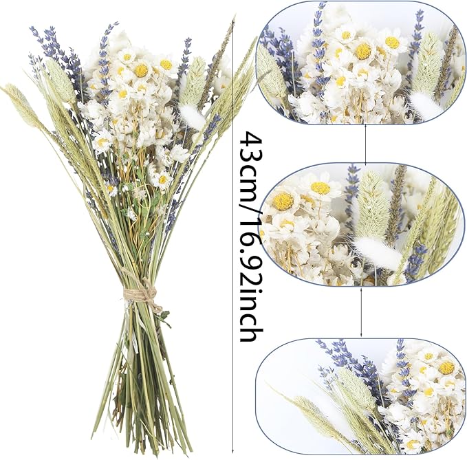 Dried Flowers Bouquet Dried Daisy Flowers Natural Lavender Dried Flowers Bunny Tails Gerber Daisies Flowers Wheat Stalks Floral Arrangements for Wedding Table Centerpiece Decor Farmhouse DIY