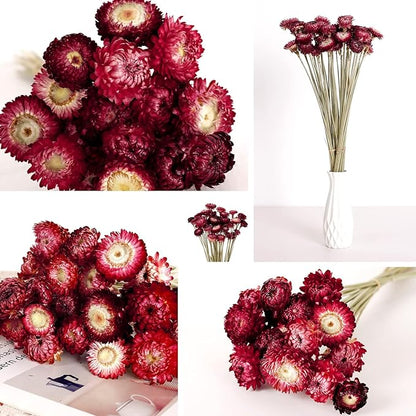 Dried Flower 40PCS Daisy Bouquet 100% Natural Chrysanthemum Dry Flower with Stem for Vase Home décor Party DIY Arrangement Wheat Straw Bulk (Burgundy)
