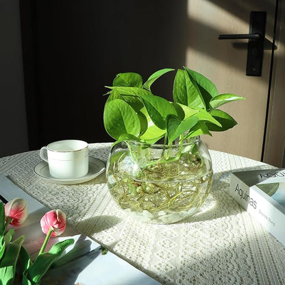 Set of 4 Clear Glass Vases, 6” W x 4.4” H, Round Candle Holders, Bubble Bowl, Flower Vases with Sponge Brush, Decorative Centerpieces for Wedding Home Decor