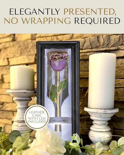 Forever Rose Hand-Dipped in 24K Gold, Amethyst-Inspired February Birthstone with Sparkles, Real Rose in Leather Case with LED Light – Perfect Ready to Gift for February Birthday or Any Occasion