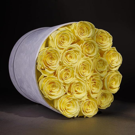 17 Flowers in a Luxury Suede Box, Birthday Gifts for Women, Preserved Flowers, Mothers Day Roses Gift for Mom, Yellow