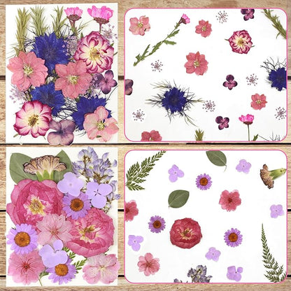 CONVELIFE Dried Flowers for Resin, Vacuum Packed DIY Pressed Flowers for Epoxy, Jewelry, Candles, Soap, Nail Production (80PCS Purple Dried Flowers)