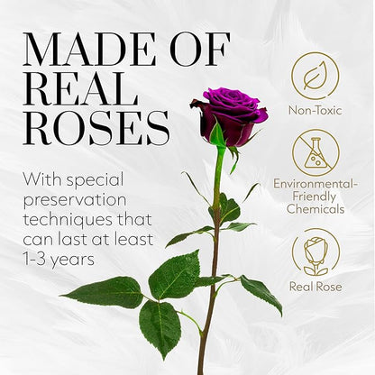 GLAMOUR BOUTIQUE Eternal Preserved Roses in a Box - Flowers Forever, Rose Forever in a Box for Wife, Birthday Gifts for Her, Single Rose, Purple