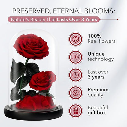 Eternal Flower in a Glass Dome: Preserved Rose - The Perfect Forever Infinity Rose Gift for Her on Valentine's Day, Mother's Day, Birthday, Anniversary, Wedding, and Christmas (9 inch)
