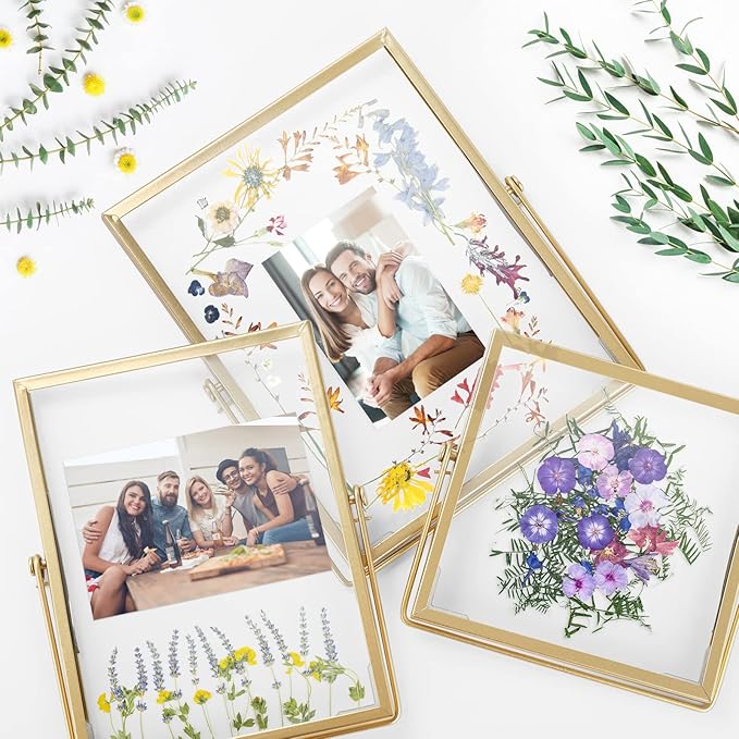 Gold Picture Frame Set - /w 68 Pcs Dried Flowers and Tweezer - Double Glass Frame for Pressed Flowers, Pressed Flower Frames for Handicrafts, Photo or Other Flat Items.