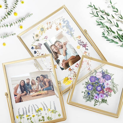 Gold Picture Frame Set - /w 68 Pcs Dried Flowers and Tweezer - Double Glass Frame for Pressed Flowers, Pressed Flower Frames for Handicrafts, Photo or Other Flat Items.