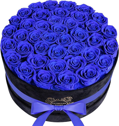 40 Pieces Preserved Roses in Suede Box, Flowers for Mothers Day, Preserved Flowers Gift for Women, Royal Blue