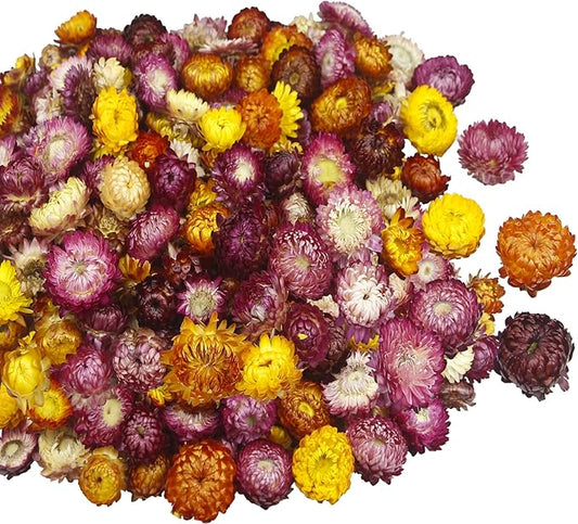 240 Pcs Natural Dried Daisy Flowers Heads Bulk Gerbera Daisies Multicolor Real Sunflowers Chrysanthemum with Jute Rope and Needle Dry Flower Arrangements for DIY Craft Wedding Decor Home Party