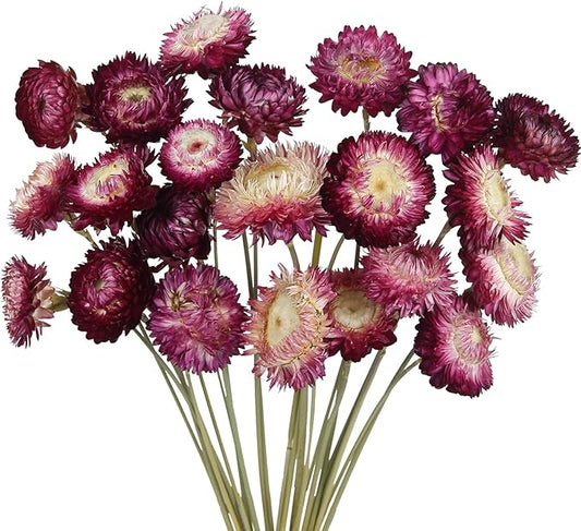 CITYES 22 Pcs Natural Dried Daisy Flowers Bouquet Dried Flower Purple Daisies Dried Sunflowers Chrysanthemum with Stem for Wedding Farmhouse Table Vase Decor Home DIY Flower Arrangement