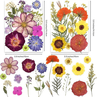 140pcs Dried Pressed Flower Leaves & Butterfly Stickers for Crafts,TrendCart Real Natural Dry Pressed Flowers & Leaves for Resin Molds Cake Candle Making Phone Cases Soap DIY Art Crafts Jewelry Making