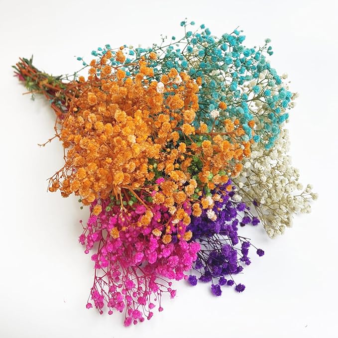 Preserved Baby's Breath, 100% Natrual Gypsophila Long Lasting Flowers for Vase Arrangements Home Decoration Photo Props Parties and Weddings, DIY Décor-Mix